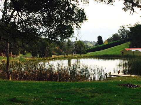 Gracefield Estate - Accommodation Mt Buller 0