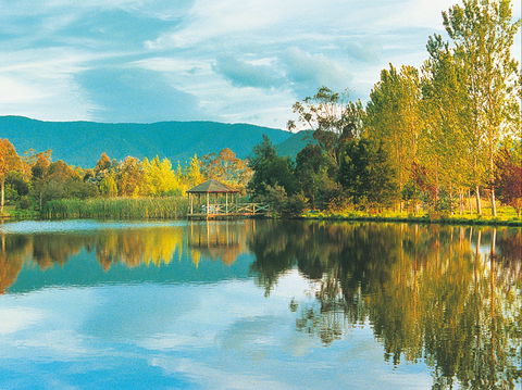 Kingbilli - Accommodation Mt Buller 0