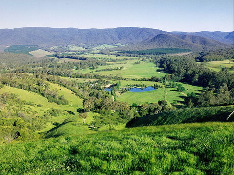 Kingbilli - Accommodation Mt Buller 1