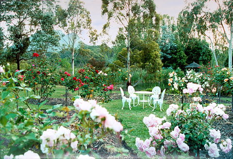 Kingbilli - Accommodation Mt Buller 4
