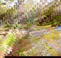 Mackaway Bay campground - Accommodation Mt Buller