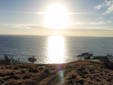 South End Camping Ground - Accommodation Mt Buller 1