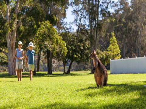 The Basin Campground - Accommodation Mt Buller 4