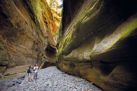 Carnarvon National Park Camping - Accommodation Mt Buller 0