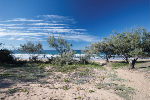 Deepwater National Park Camping - Accommodation Mt Buller 0