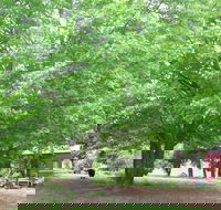 Hill End Holiday Ranch - Accommodation Mt Buller