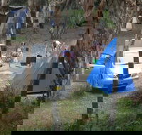 Hungry Gate campground - Accommodation Mt Buller