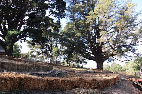 Longwood Retreat - Accommodation Mt Buller 0