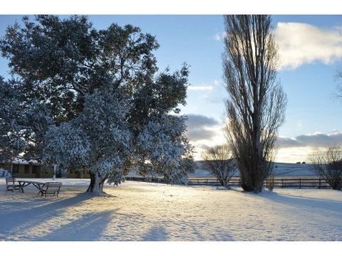 Snowy Mountains Resort - Accommodation Mt buller 0
