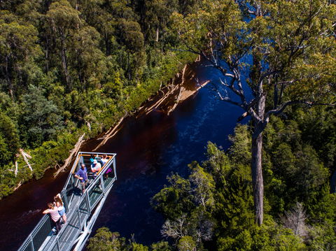Tahune Adventures Tasmania - Lodge And Cabin - Accommodation Mt Buller 1