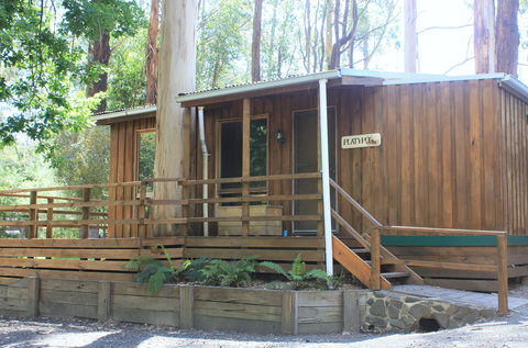 Tarra Valley Caravan Park - Accommodation Mt Buller 1