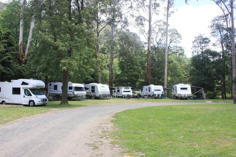 Tarra Valley Caravan Park - Accommodation Mt Buller 2