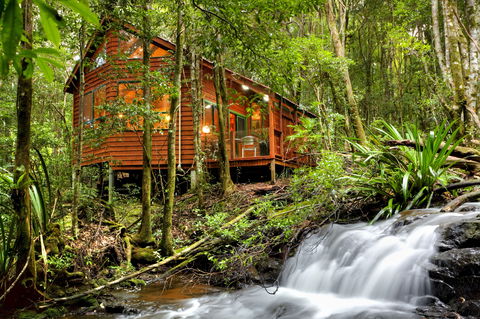 The Mouses House - Rainforest Retreat - Accommodation Mt Buller 0