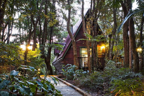 The Mouses House - Rainforest Retreat - Accommodation Mt Buller 2