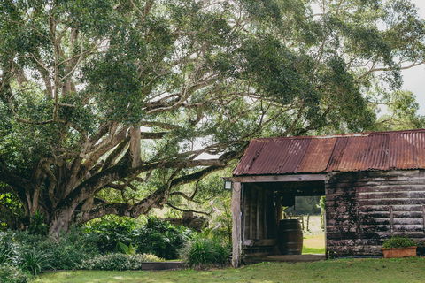The Eumundi Dairy - Accommodation Mt Buller 2