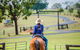 Tobruk Sydney Farm Stay - thumb 0