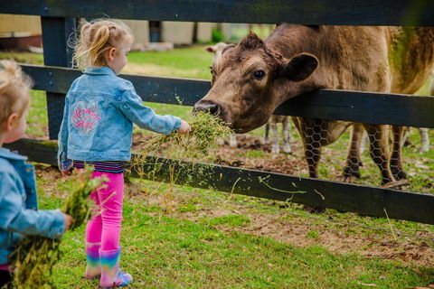 Tobruk Sydney Farm Stay - Accommodation Mt Buller 2