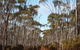 Victoria Rock Camp At Goldfields Woodlands National Park - thumb 0