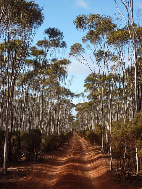 Victoria Rock Camp At Goldfields Woodlands National Park - Accommodation Mt Buller 0
