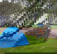 Violet Hill campground and picnic area - Accommodation Mt Buller