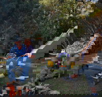 Zeehan Bush Camp - Accommodation Mt Buller