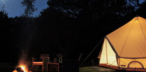 Zeehan Bush Camp - Accommodation Mt Buller 1