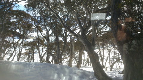 Barina Milpara Lodge - Accommodation Mt Buller 1