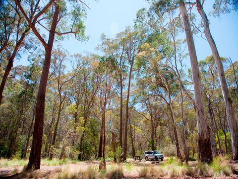 Coolah Tops National Park Camping - Accommodation Mt Buller 0