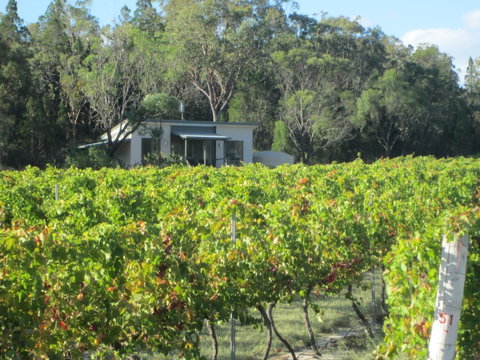 Just Red Wines Vineyard Cabins - Accommodation Mt Buller 0