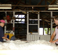 Pelican Sheep Station - Accommodation Mt Buller