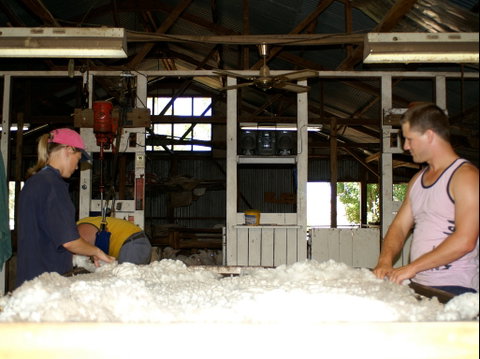Pelican Sheep Station - Accommodation Mt Buller 0