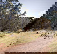 The Pines campground - Accommodation Mt Buller
