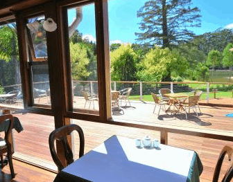 Forest Lodge Resort - Accommodation Mt Buller 2