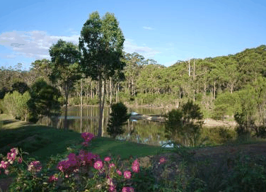 Forest Lodge Resort - Accommodation Mt Buller 3