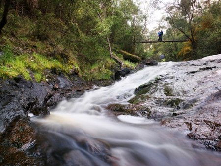 Karri Valley Resort - Accommodation Mt Buller 2