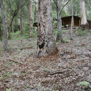 Pemberton  Forrest Cottages  - Accommodation Mt Buller 2