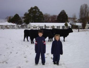 San Michele Resort - Accommodation Mt Buller 4