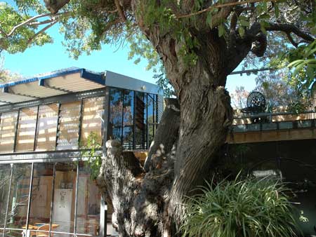 The Painted Fish - Accommodation Mt Buller 3