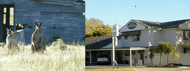 Acacia Motor Inn - Accommodation Mt Buller 5