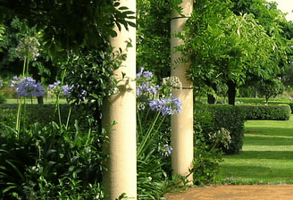 Tree Elle Retreat - thumb 1