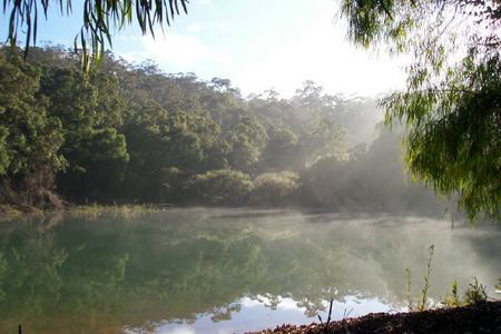 Karri Valley Chalets - Accommodation Mt Buller 2