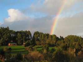 Pemberton Lavender And Berry Farm Cafe And Cottages - Accommodation Mt Buller 3