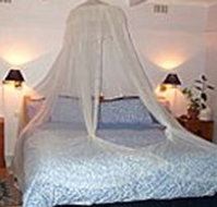 Bondi Beach Garden Sweet - Accommodation Mt Buller