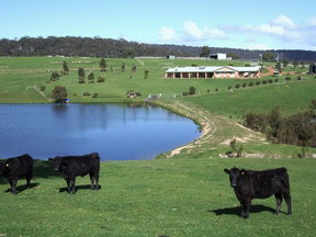 Stargazers - Accommodation Mt Buller 2