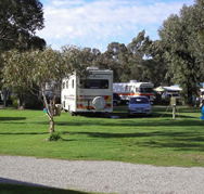 Pinjarra Caravan Park - Accommodation Mt Buller