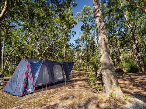 Boomeri Campground - Accommodation Mt Buller 1