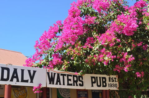 Daly Waters Historic Pub - Accommodation Mt Buller 0