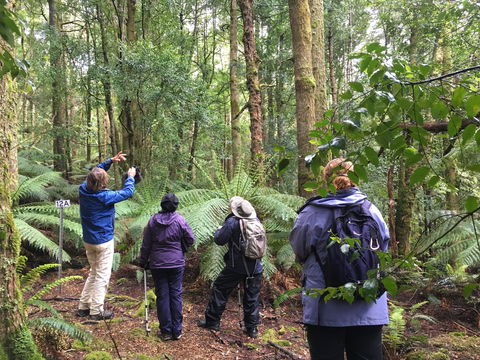Forest Walks Lodge - Eco-Accommodation - Accommodation Mt Buller 1