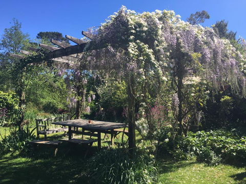 Hawthorne Cottage: Blackheath - Accommodation Mt Buller 2