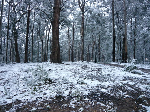High Peaks Cottages - Accommodation Mt Buller 0